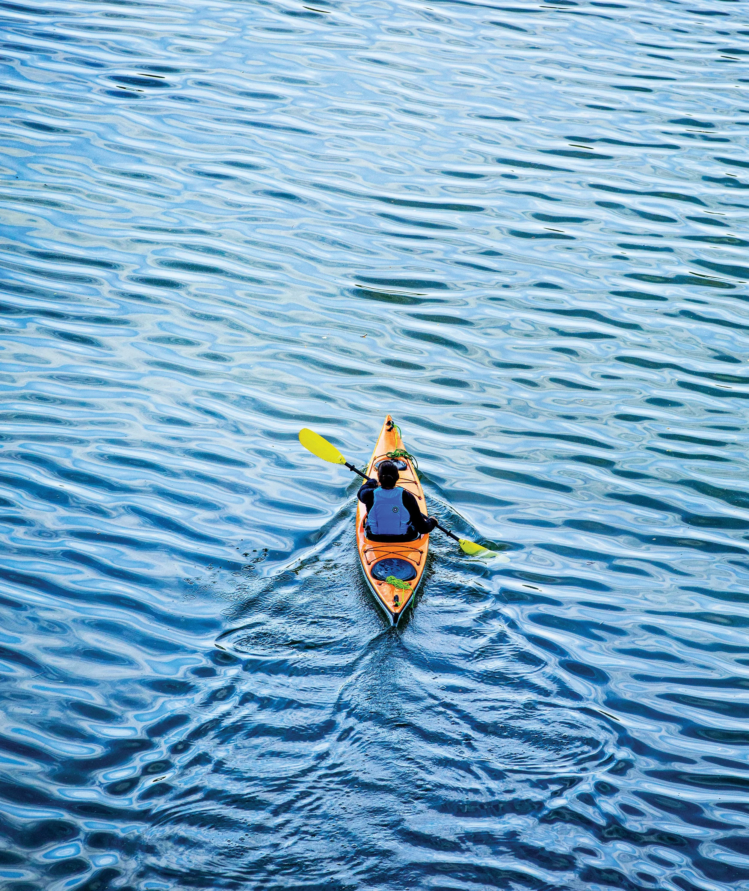 Knoxville Outdoor Recreation Experience: Fall Kayaking