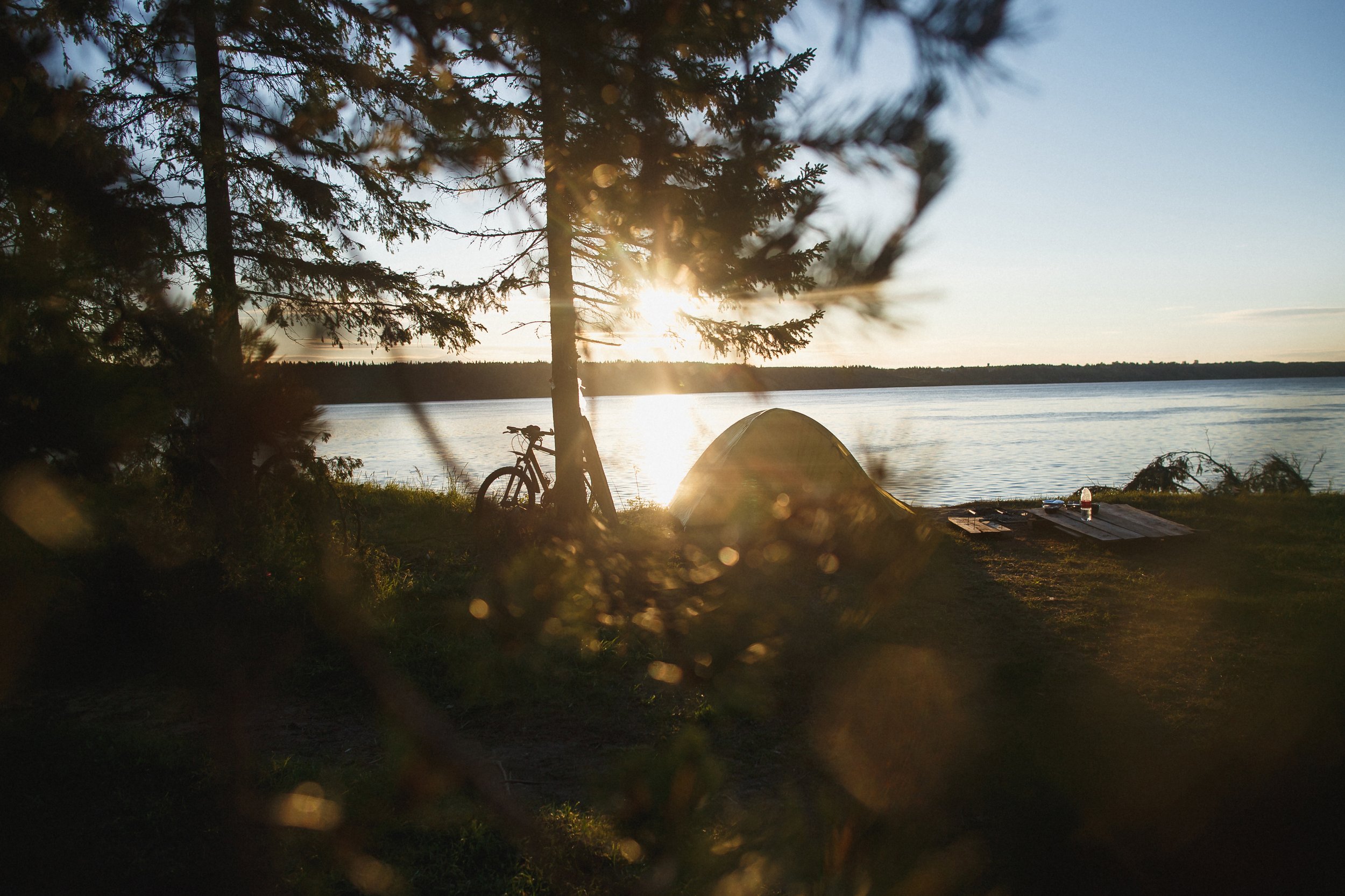 Tennessee RiverLine Contributes to UT Knoxville’s National Recognition for Innovation and Economic Engagement The University of Tennessee, Knoxville, has earned the Association of Public and Land-grant Universities’ (APLU) 2025 Innovat