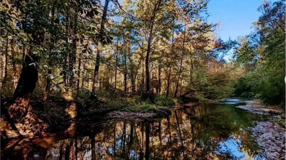 MSNHA  Landscape Skeptch