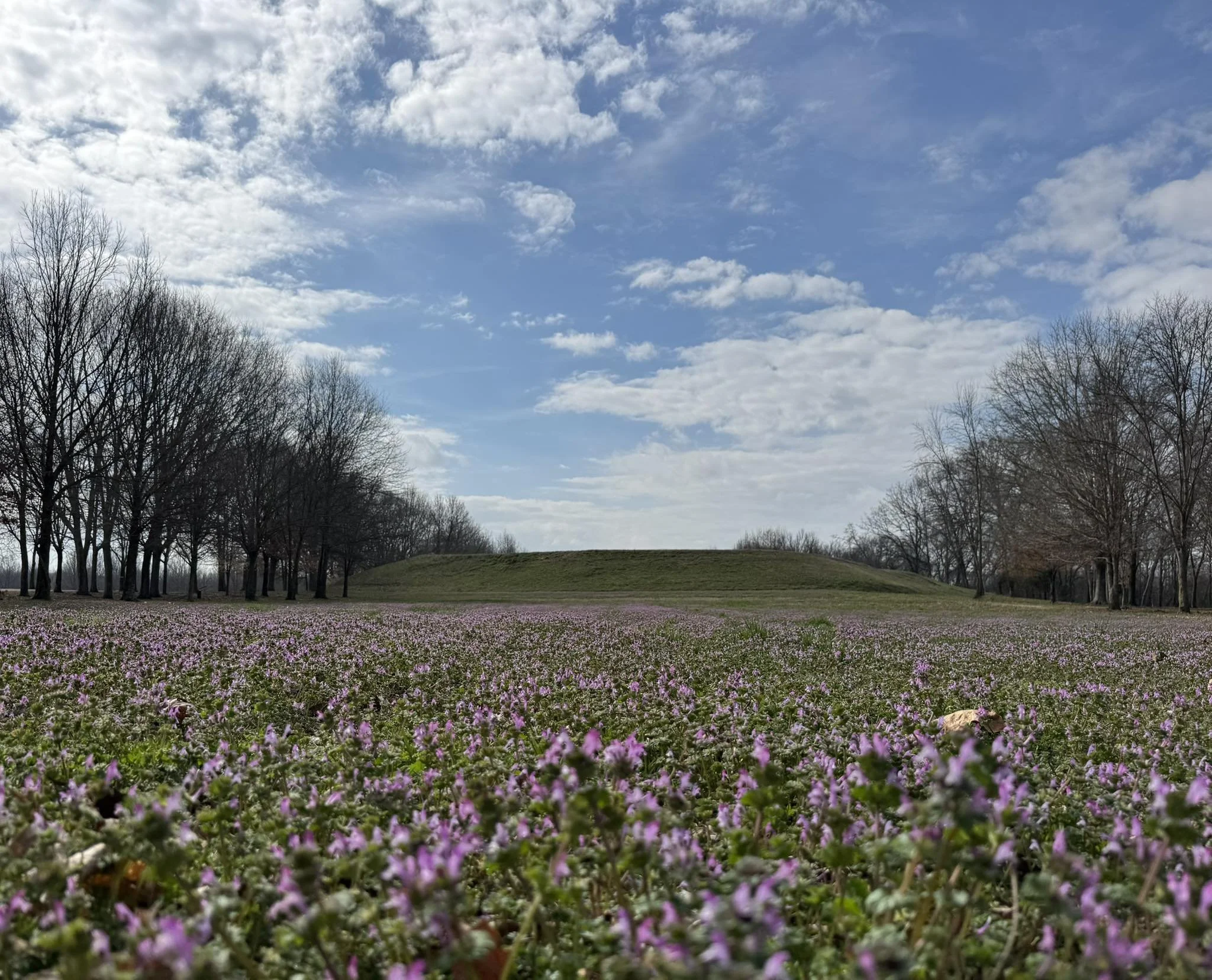 37th Annual Oakville Indian Mound Festival