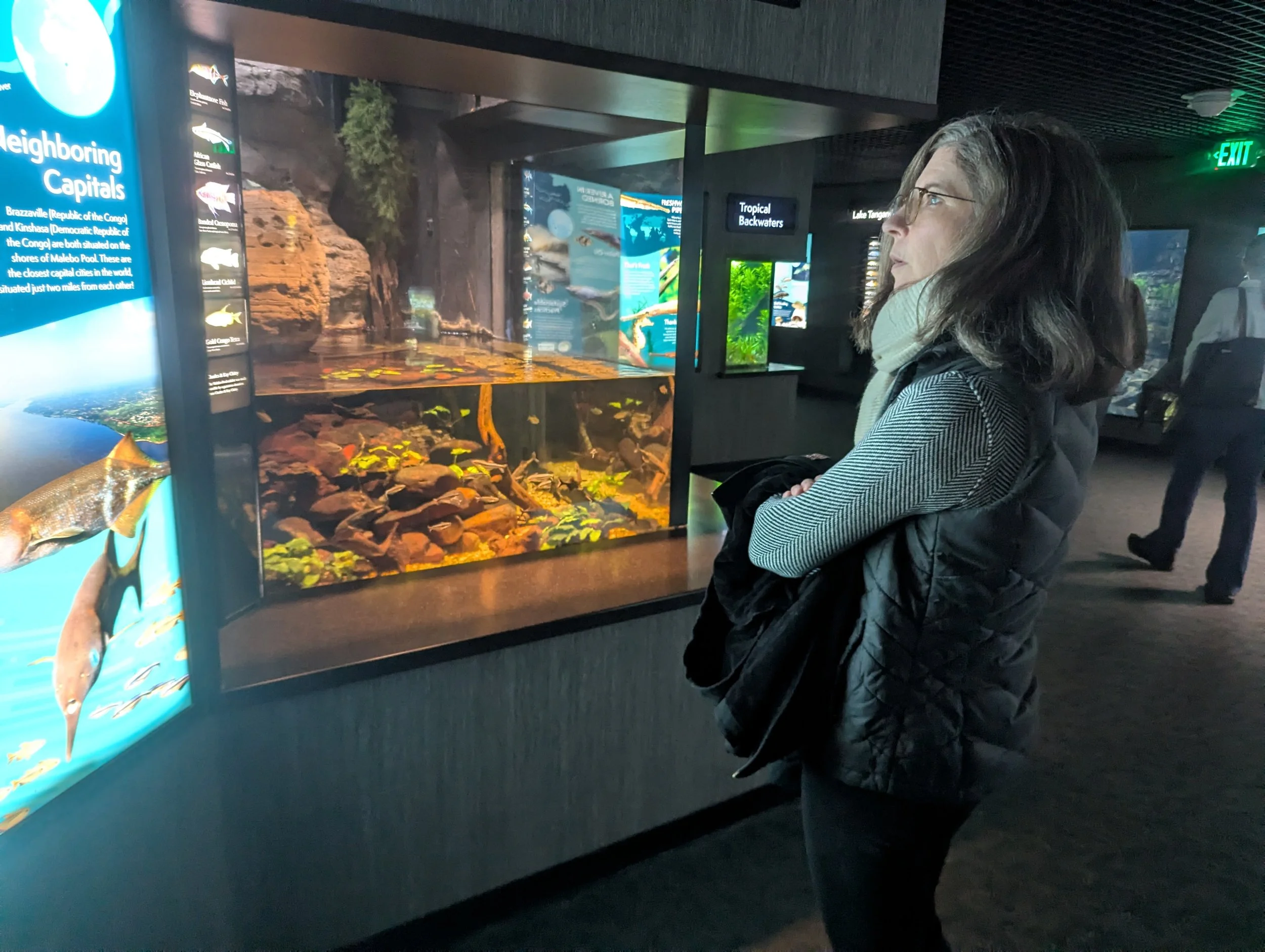Q&A: Dr. Carrie Crawford Reflects on the Tennessee RiverLine's History