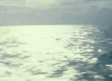 mare 2.gif