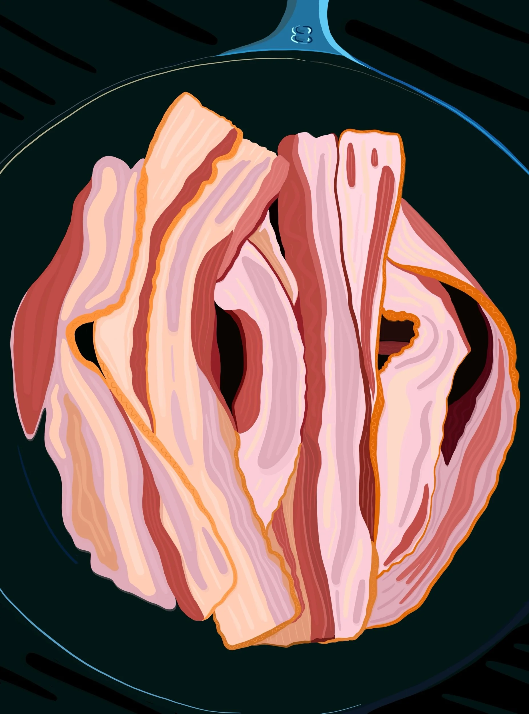Pink bacon black skillet