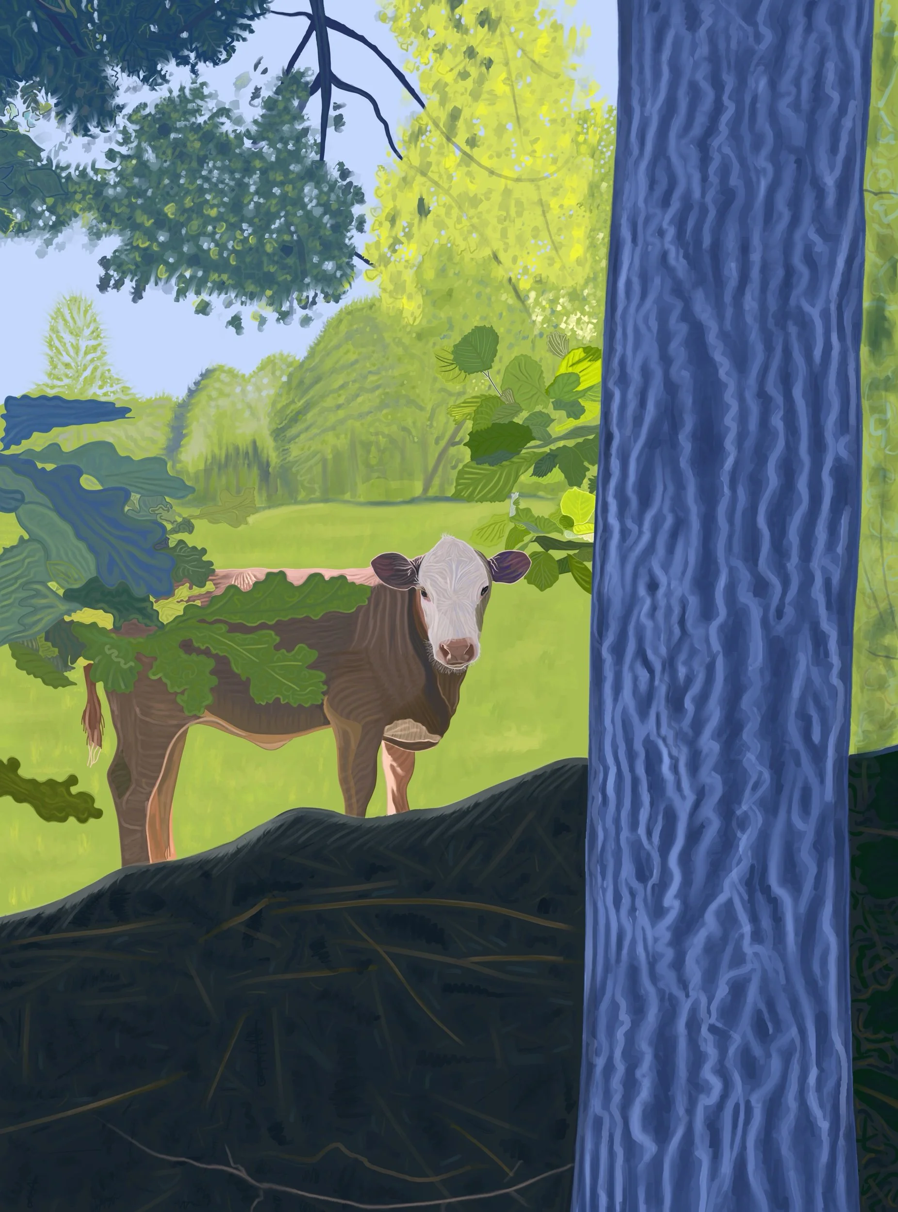 Cow In Field, Norway.jpeg