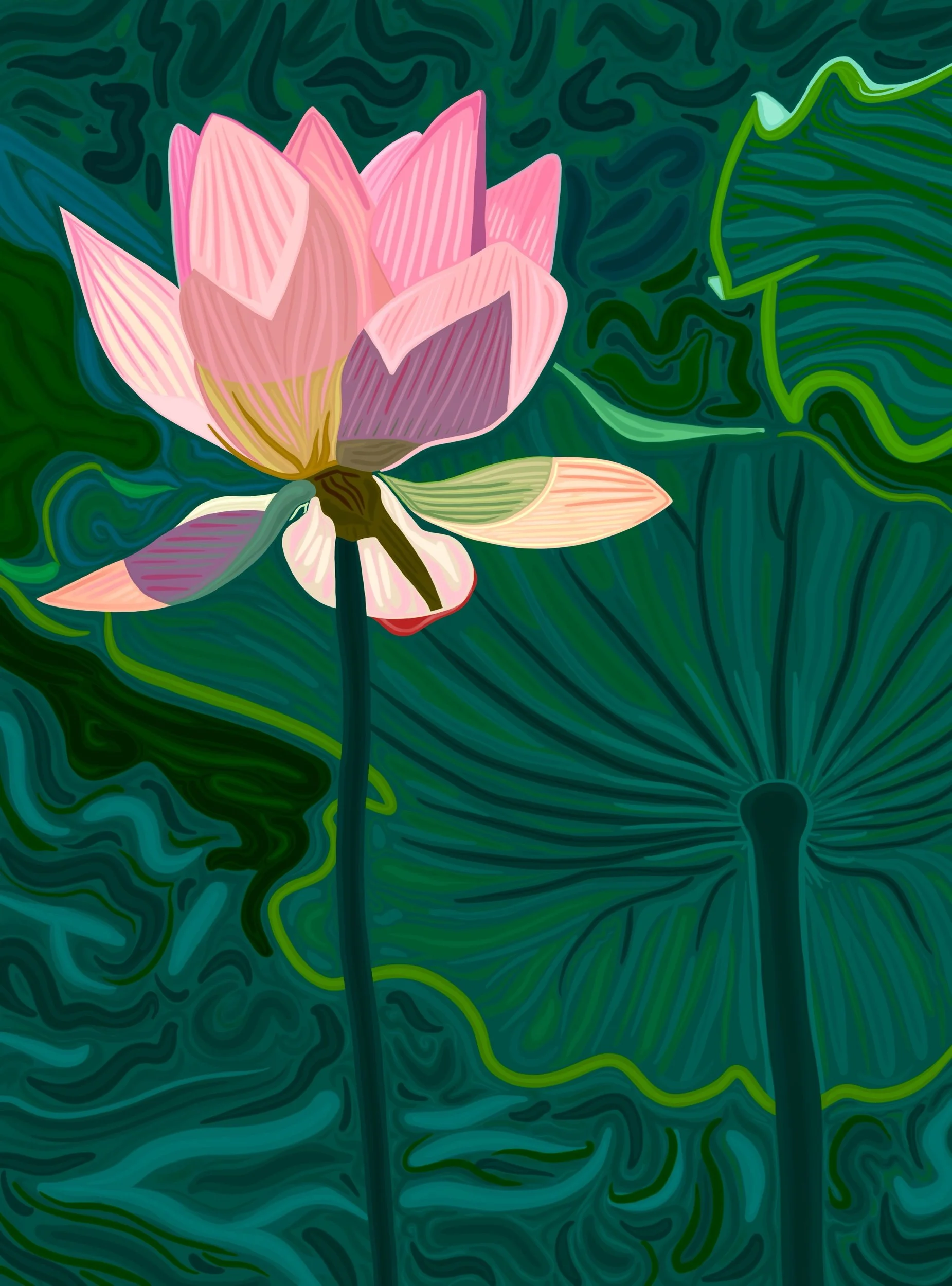Lotus 