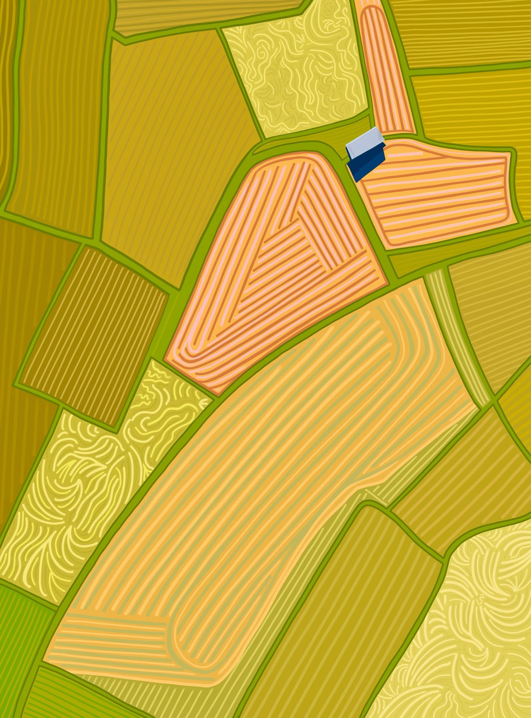 Farmer’s Fields From Above.jpeg