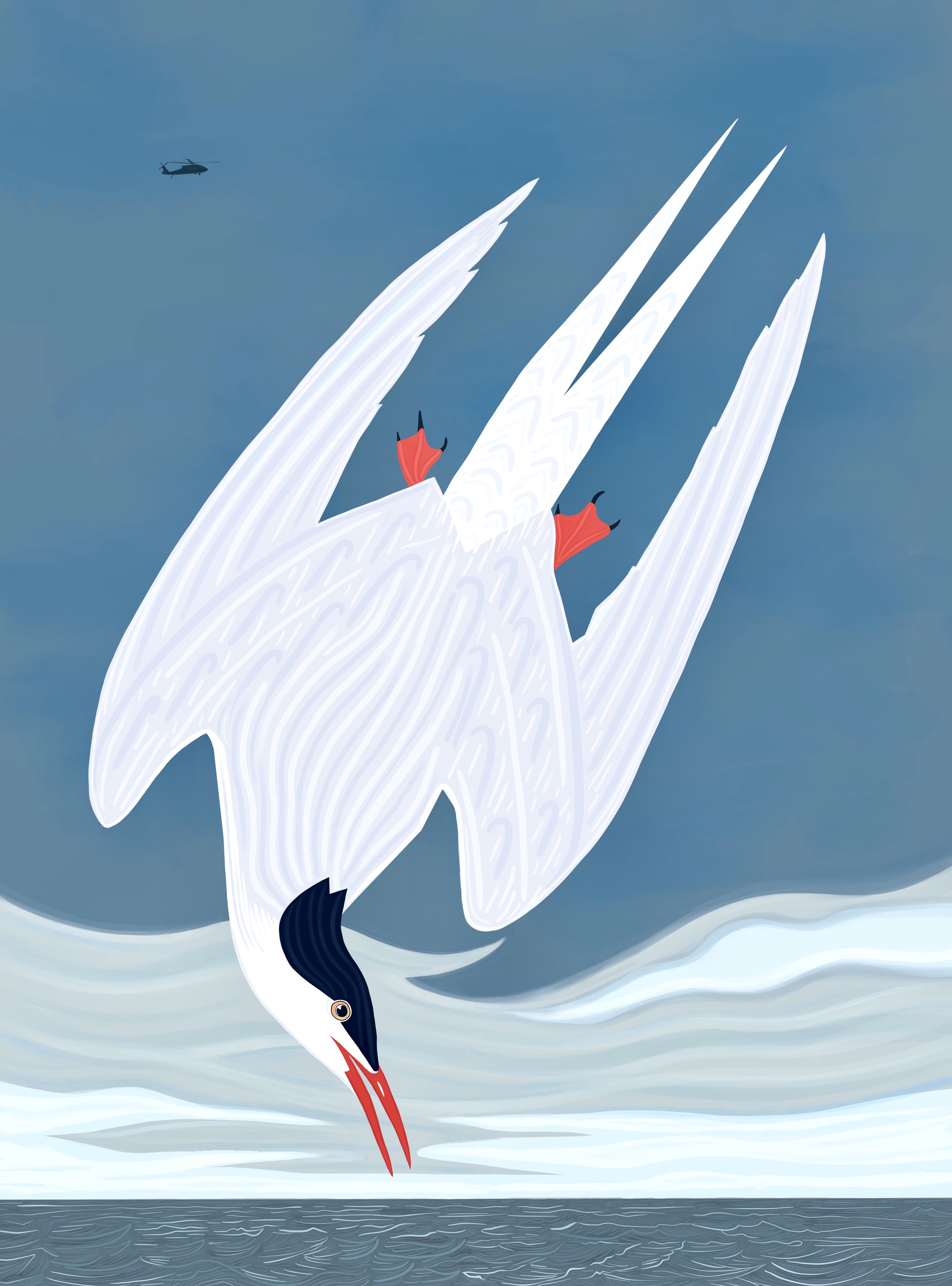 After Audobon, Arctic Turn.jpeg