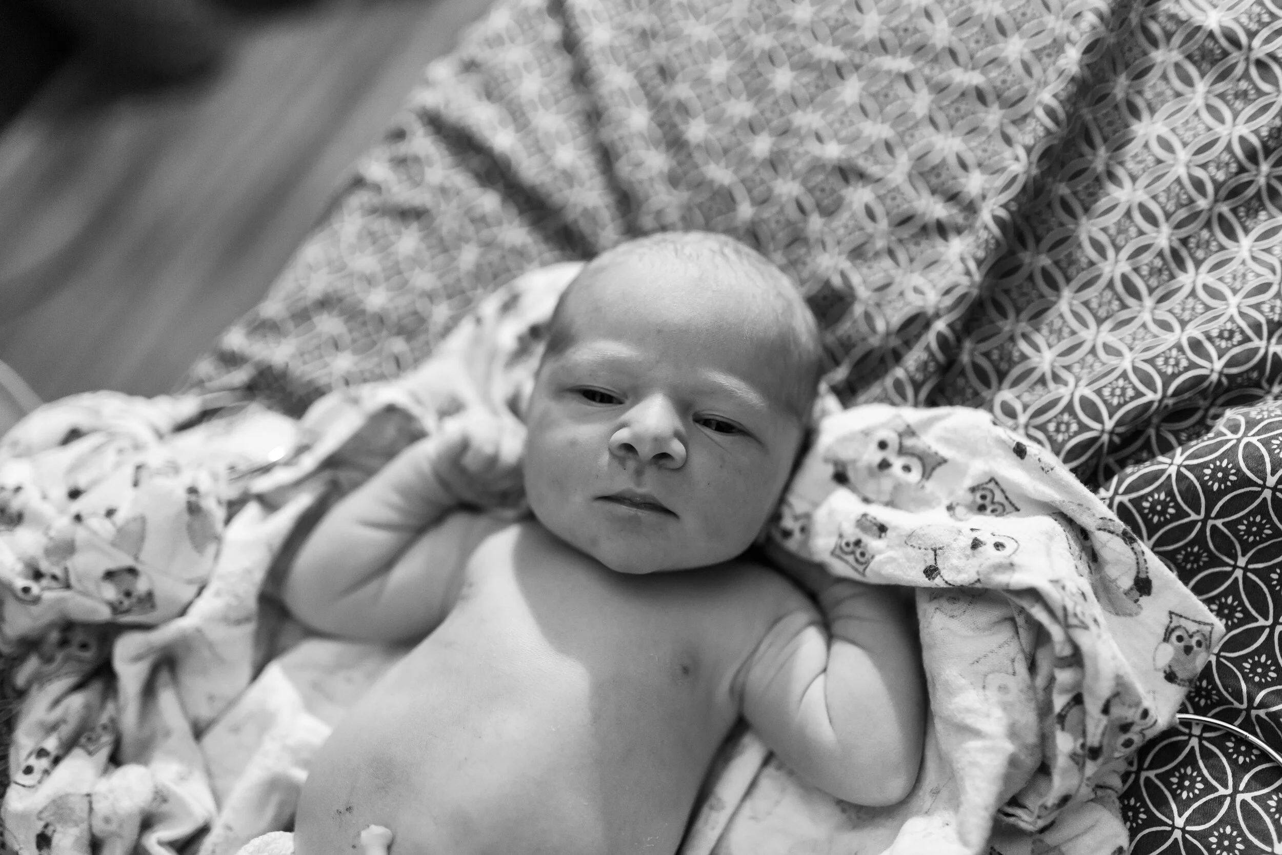 baby e.jpg