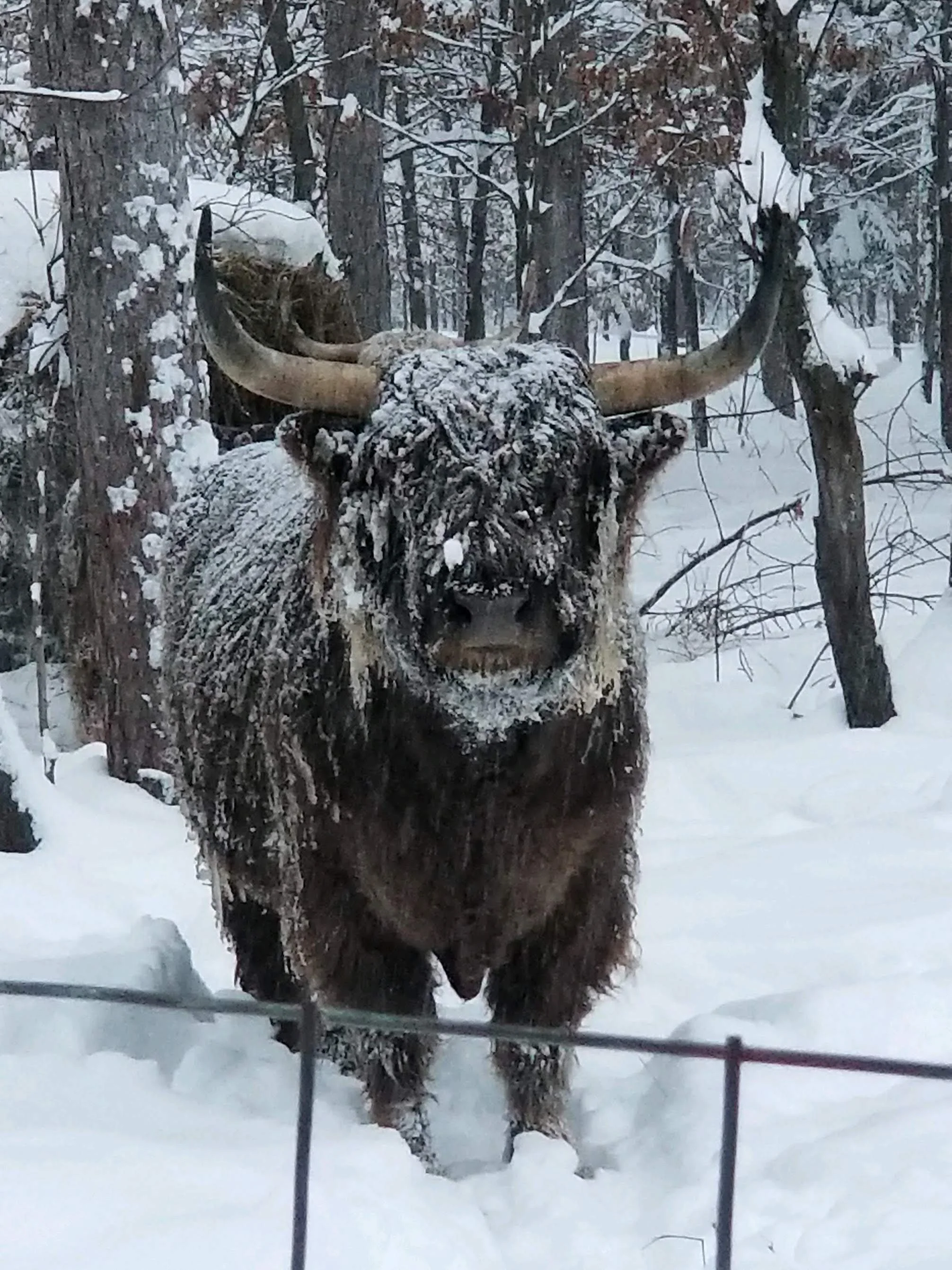 Tenth Blog Post - From Bare Bones to Warmhearted Dreams: A Couple's Journey Through Self-Employment and the Insulation Industry