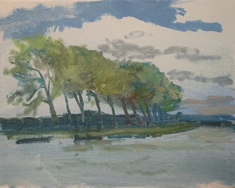 Bomen, olieverf op doek,18x24, 650,-