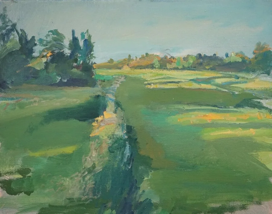 Twiske, olieverf op doek, 40x50, ntk