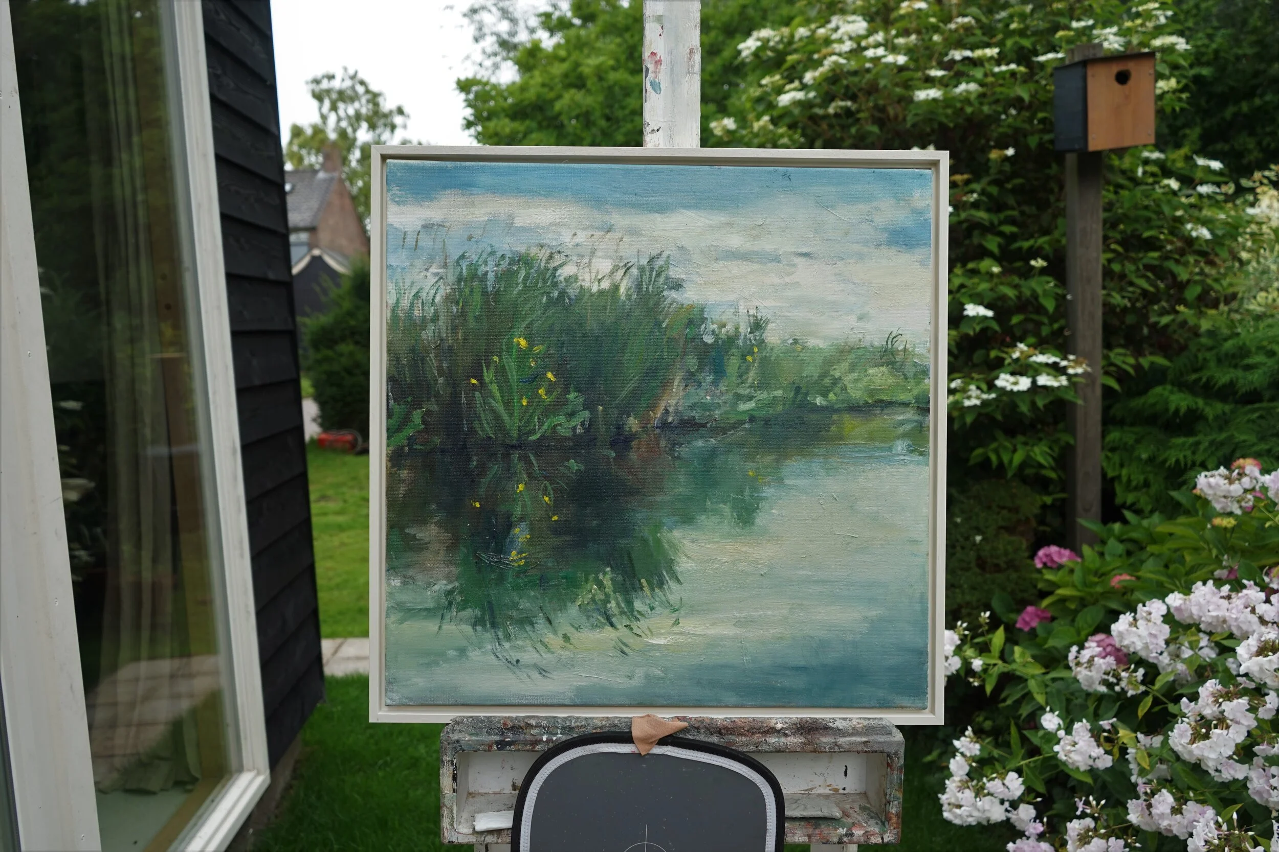 Gele Lis, 60x60, olieverf op doek, 2750,-