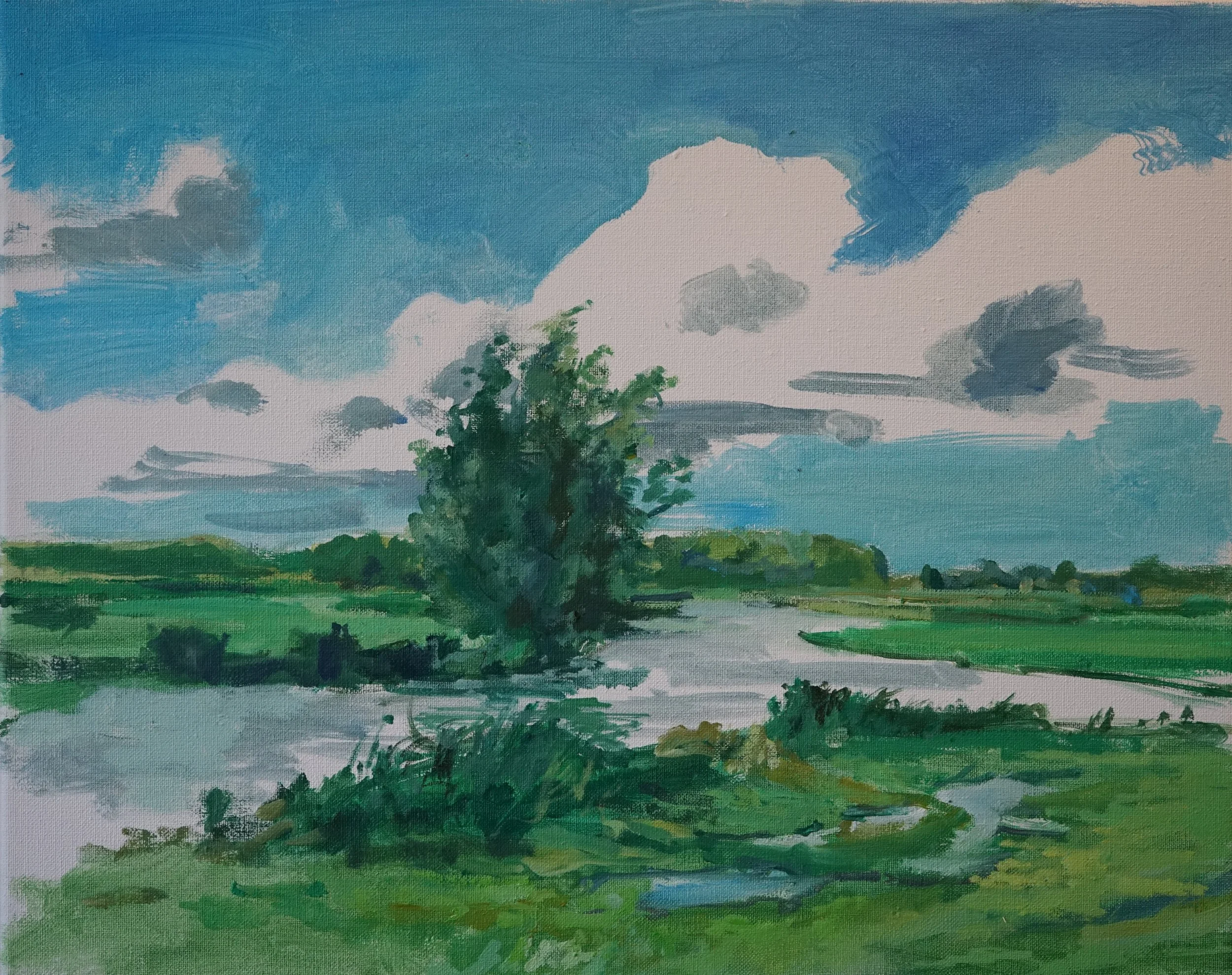 Landschap boom in de wolk, 40x50, 2012, olieverf op doek, 1750,-