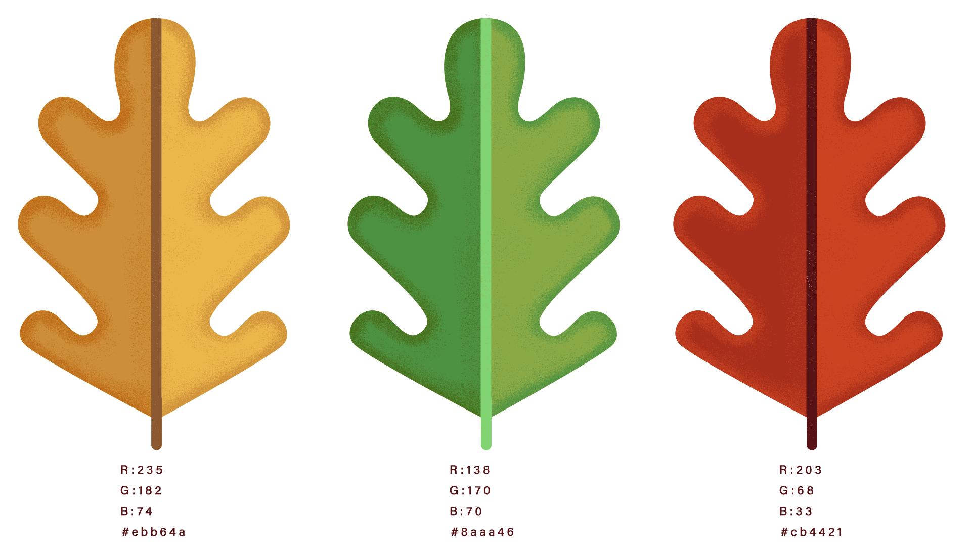color.png