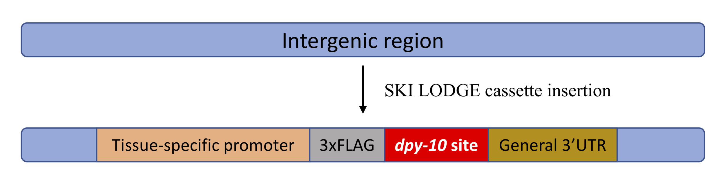 Figure overview for webpage 2.png