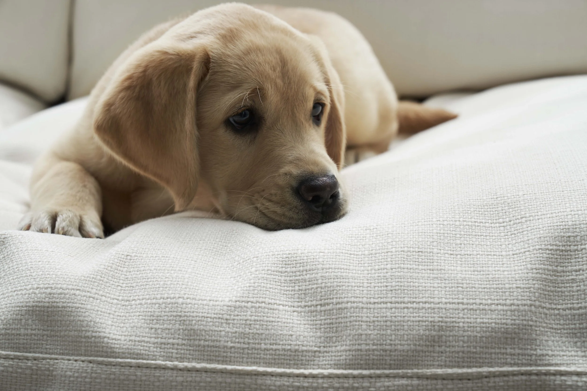 Summer22_DW_ECO LRS_0410_FLAT.jpg