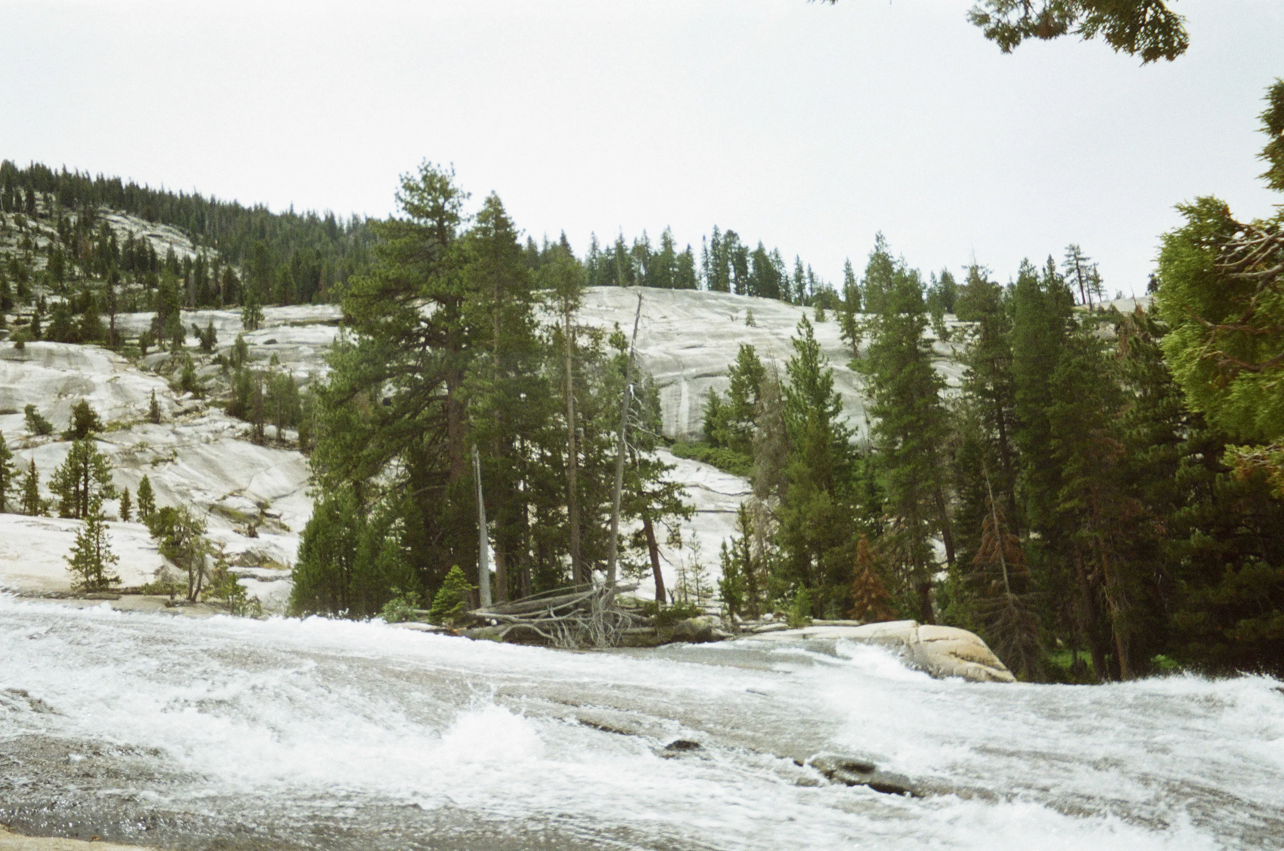 bunnel cascades1.jpeg