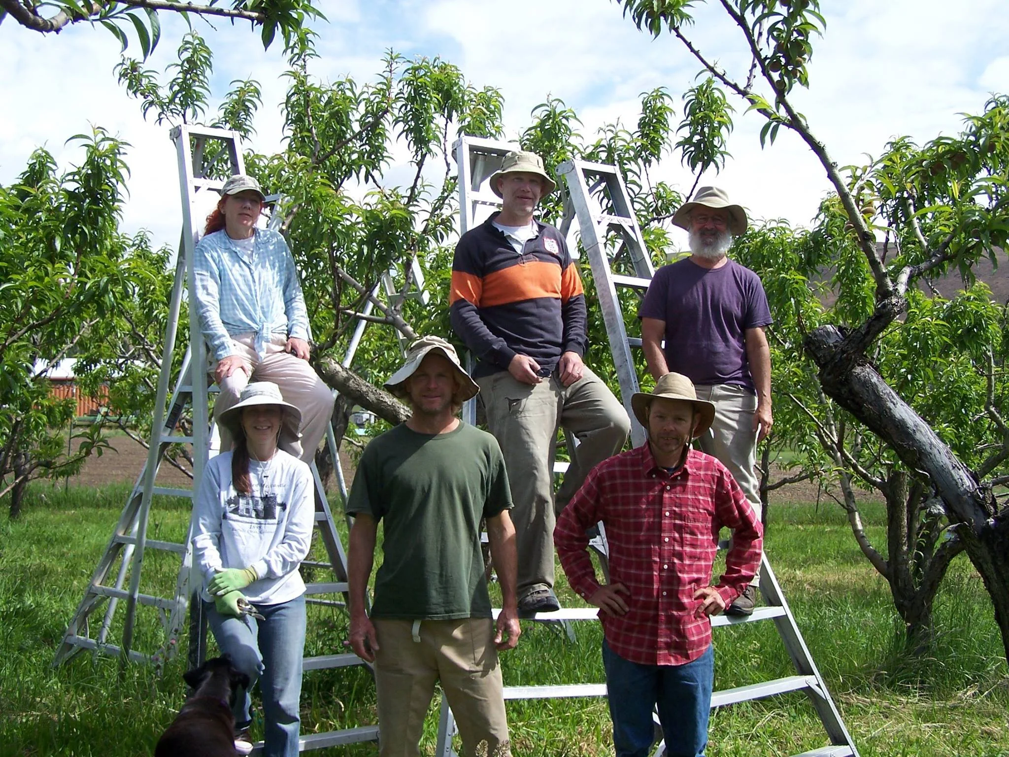 We work with a rotating group of 2-6 crew members on any given day.