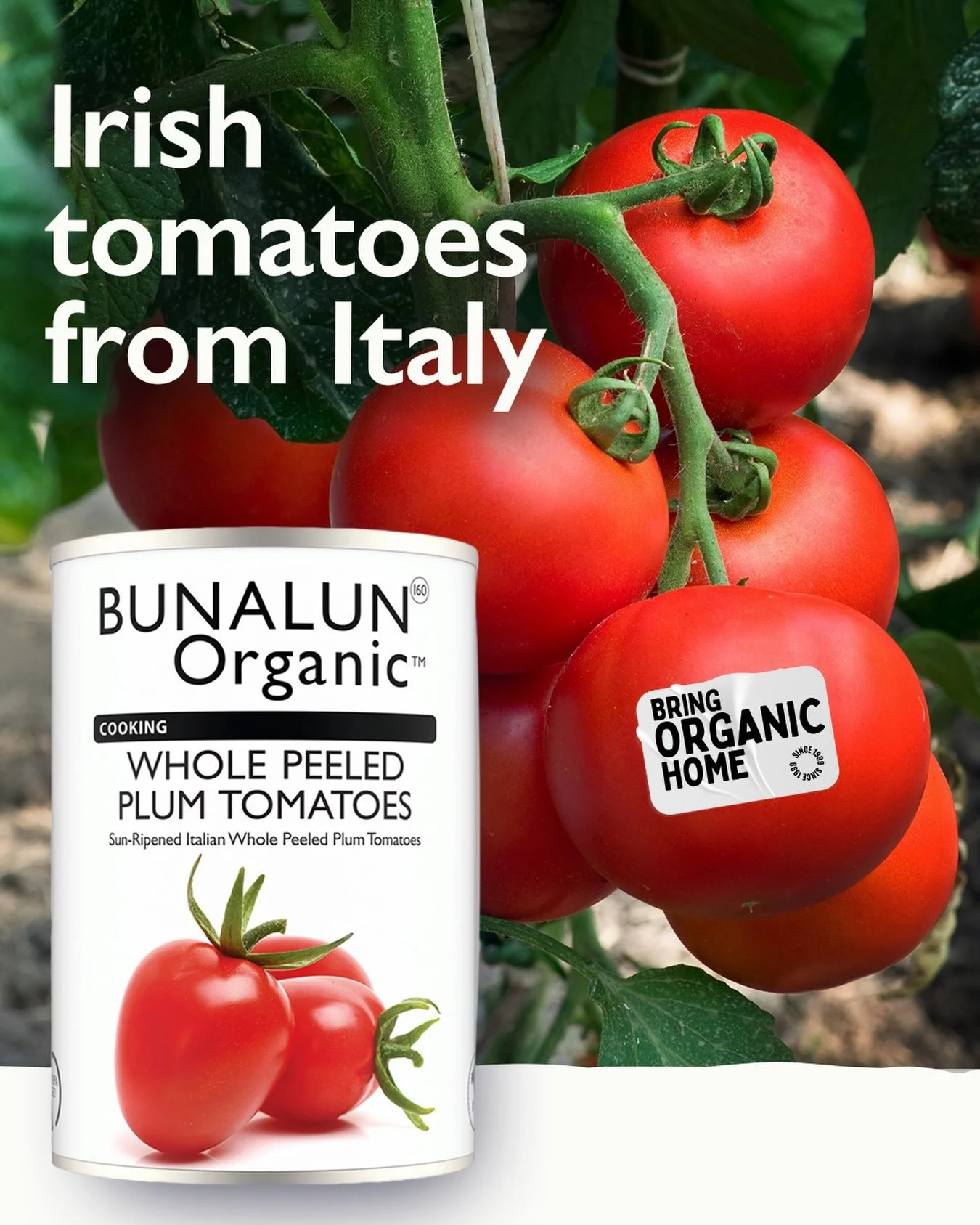 Your local tomatoes, from Italy.
Bring Organic Home.

#BringOrganicHome #BunalunOrganic