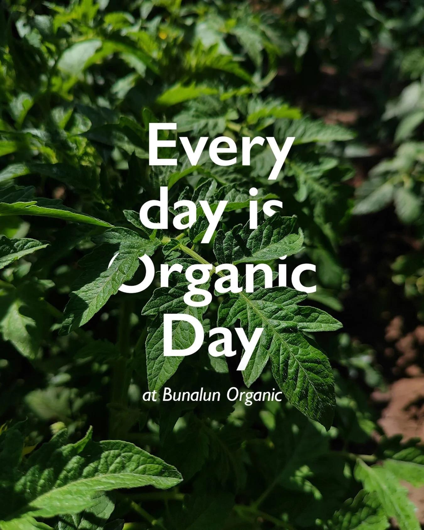Today is EU Organic Day, so naturally, we&rsquo;re fairly into it. 

Here&rsquo;s to organic ingredients, the farmers who grow them, and the people across Ireland enjoying them 🇮🇪
