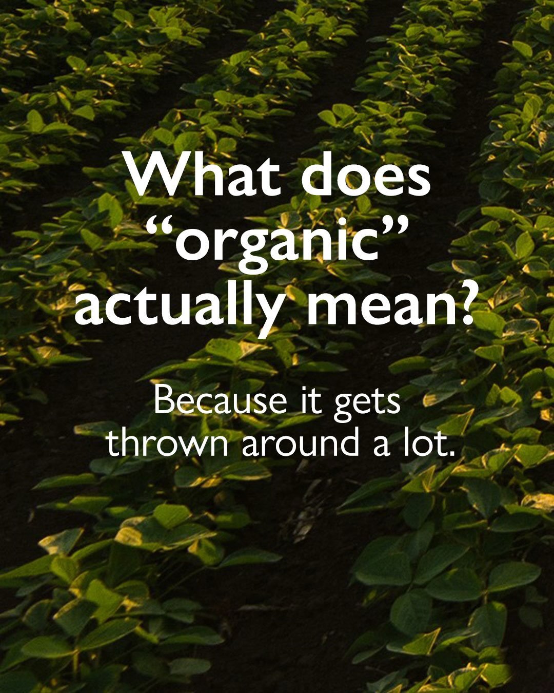 &lsquo;Organic&rsquo; can sometimes feel like a bit of a buzzword&hellip; so here&rsquo;s what it means to us.