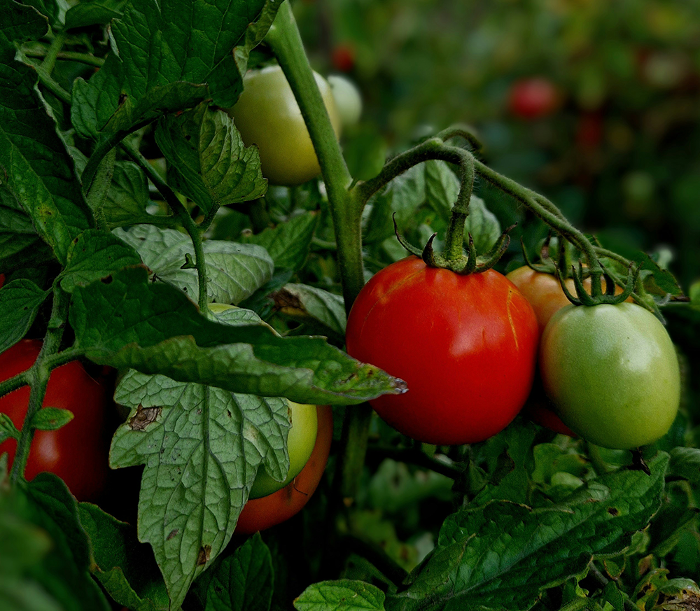 Our approach to sustainability