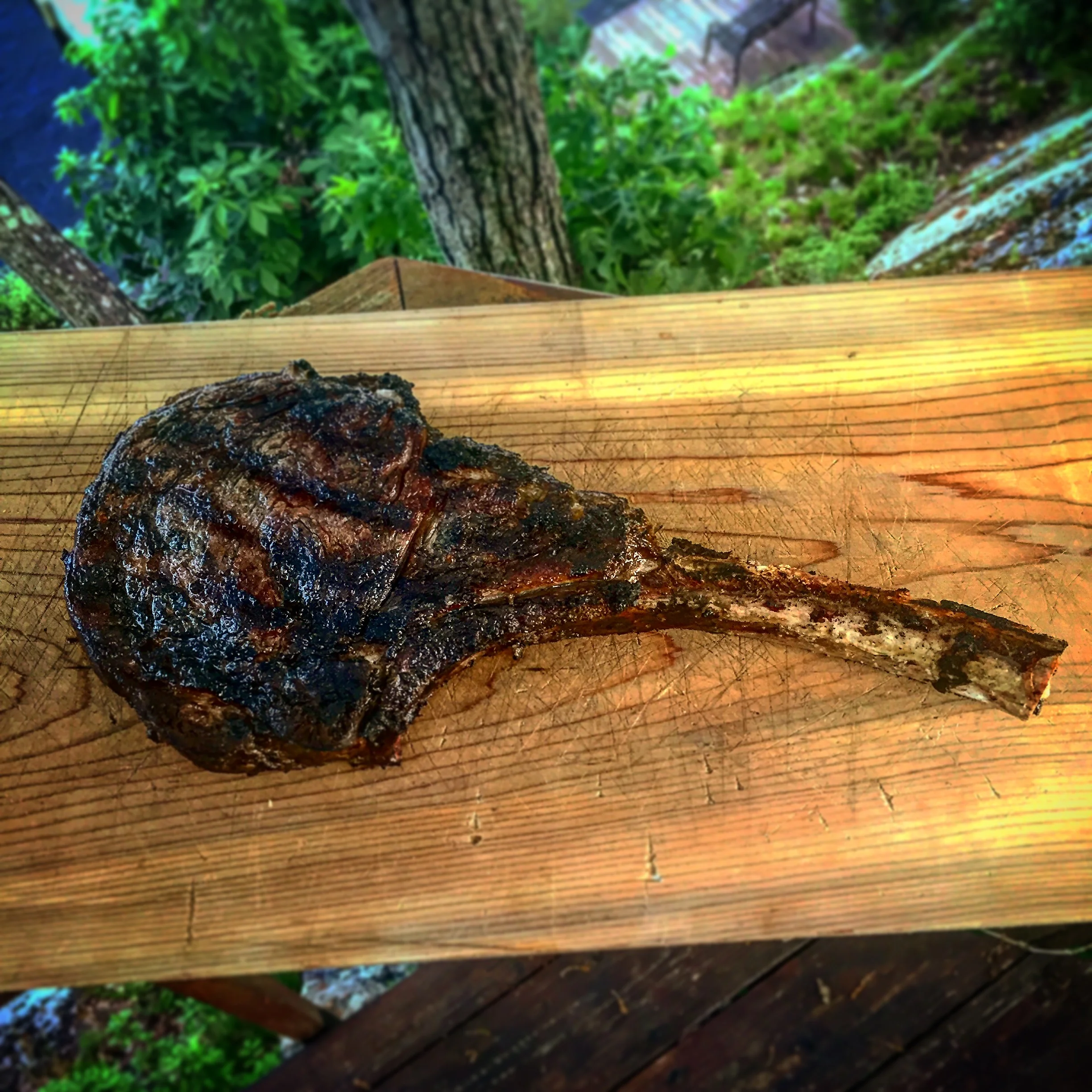 tomahawk-steak-bone.JPG