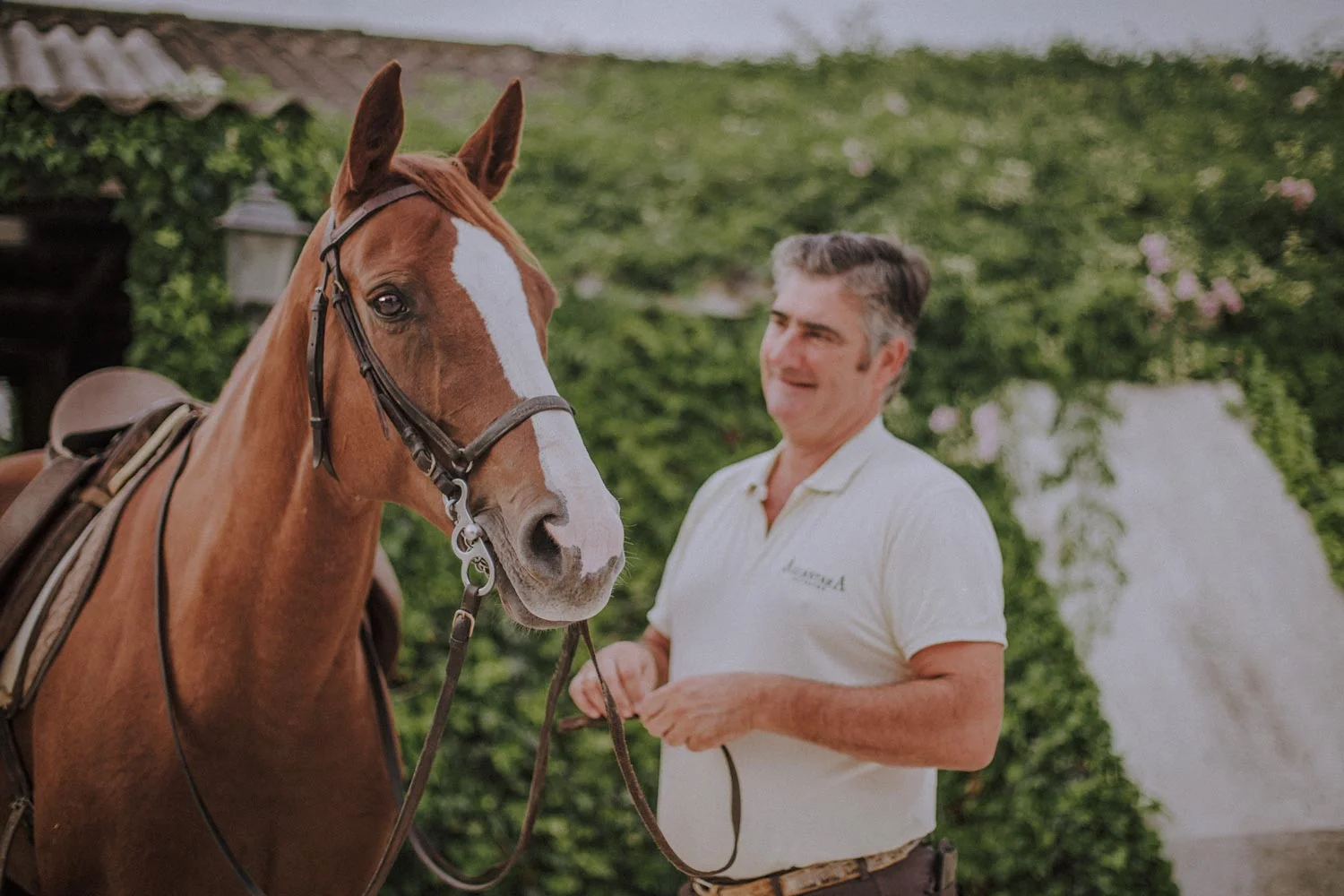 09.00 / Alfonso has been at it for hours already. The German Westfaler-mare Trappa is ready for the day’s first lesson. Alfonso got her from a customer that couldn’t pay him back with money.