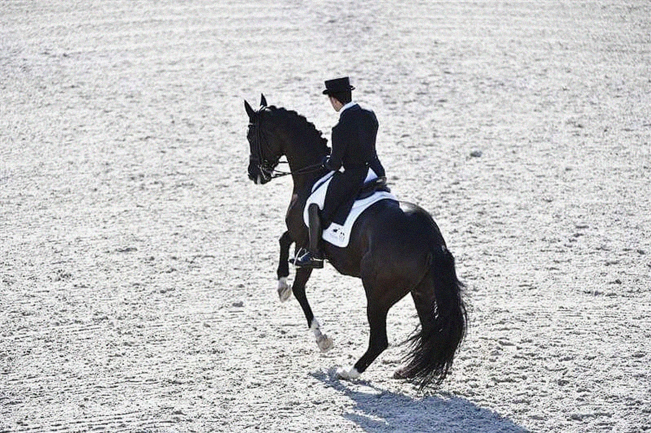 Foto: Ridehesten