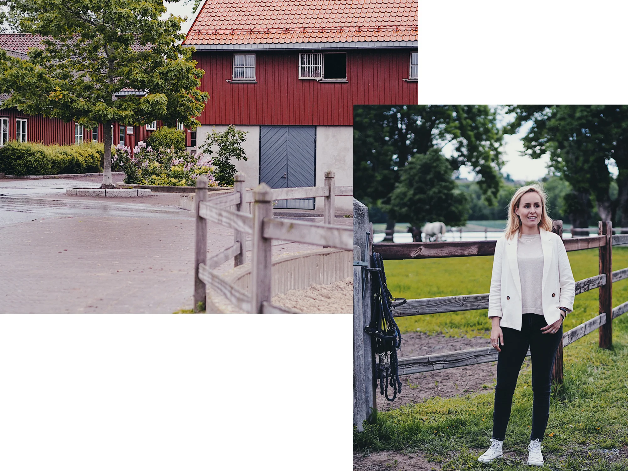 annettep1.jpg