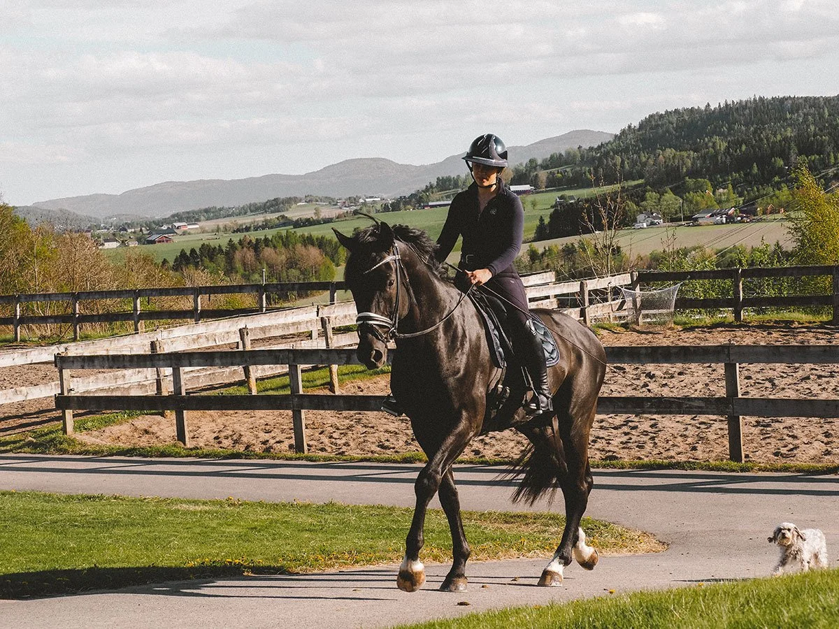 LINN THERESE OLAFSEN: REHABILITIATION AND TRAINING OF SPORT HORSES