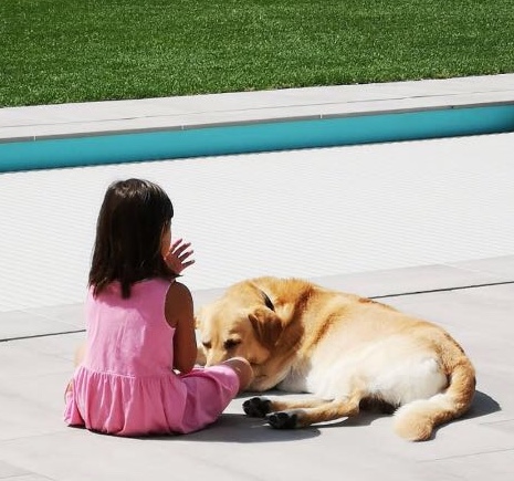 Hunde sind nicht alles im Leben, aber sie machen alles im Leben lebenswert. Roger Caras