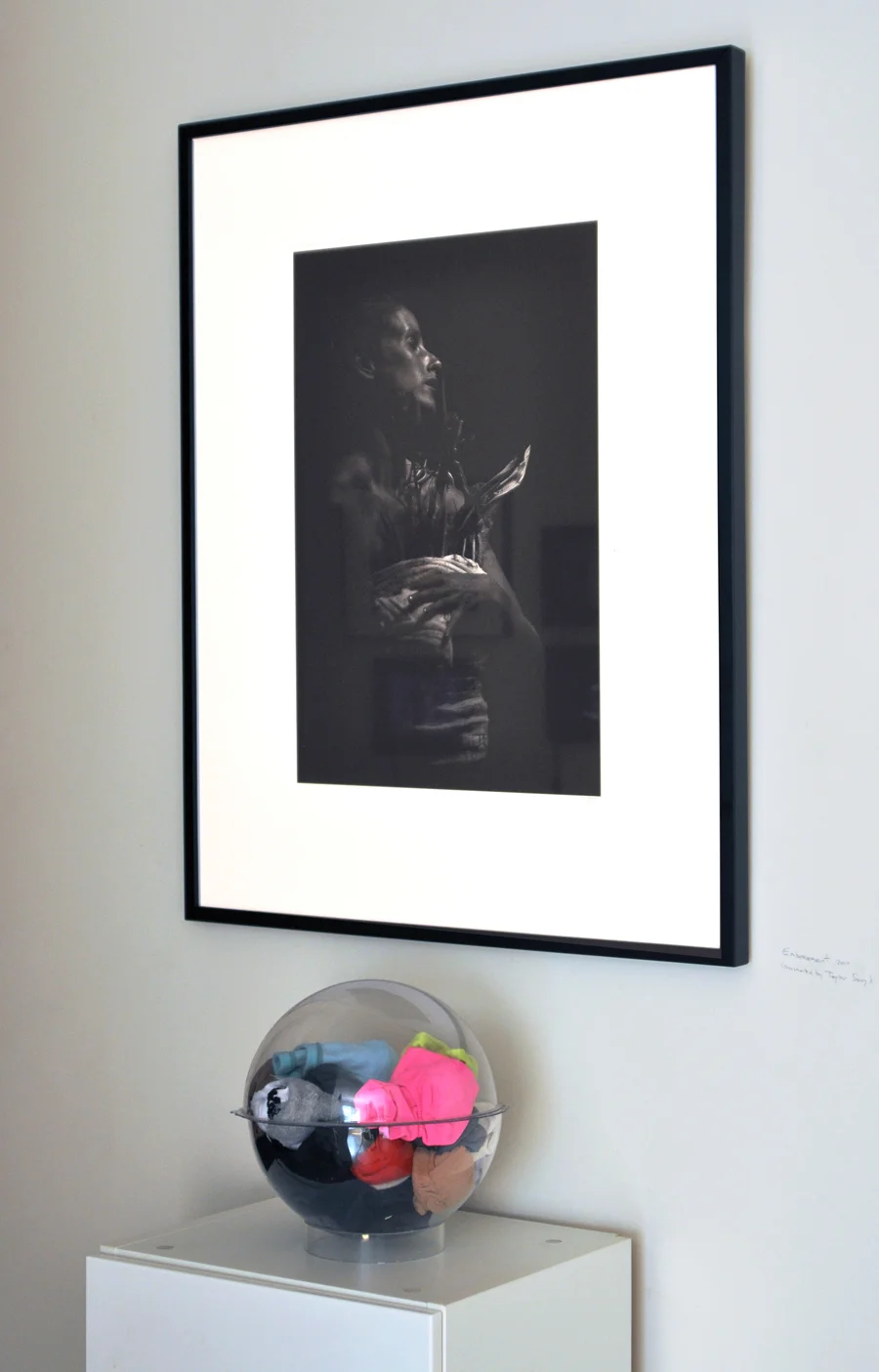 Installation View at Glasshouse