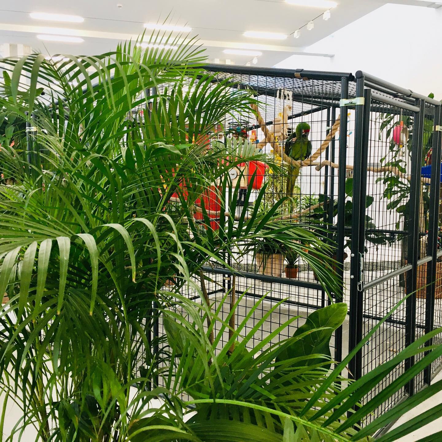 The closest we get to vacation these days is at our current Chelsea gallery tour. Walking on sand, tropical animals, monitored hurricane storms- a disguised oasis in a series of the most political exhibitions we’ve seen in Chelsea in a while. J