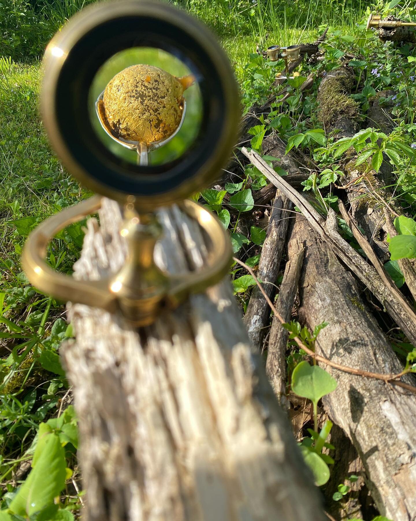 Sergey Jivetin @sjivetin creates an edible installation surrounded our soup garden at Edible Bodies last weekend.
The vegetables are gilt in 24K Gold leaf.

The Spectacle art pieces invited participants to step back in time and re-discover a sense of