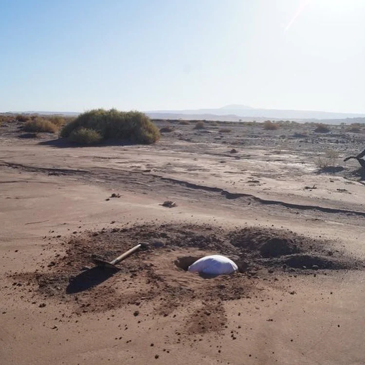 Next week!
A PERMIT, TO PERMIT 24h Performance Program @upstateartweekend @glasshouse247 

SATURDAY &amp; SUNDAY JULY 19- 20, 10A-10P
Info in bio 
Images 📸
1- @jossslug 
2- @tamarettun 
3- @hannes.egger_studio 
4- @sazonpackets 
5- @spencertunick 

