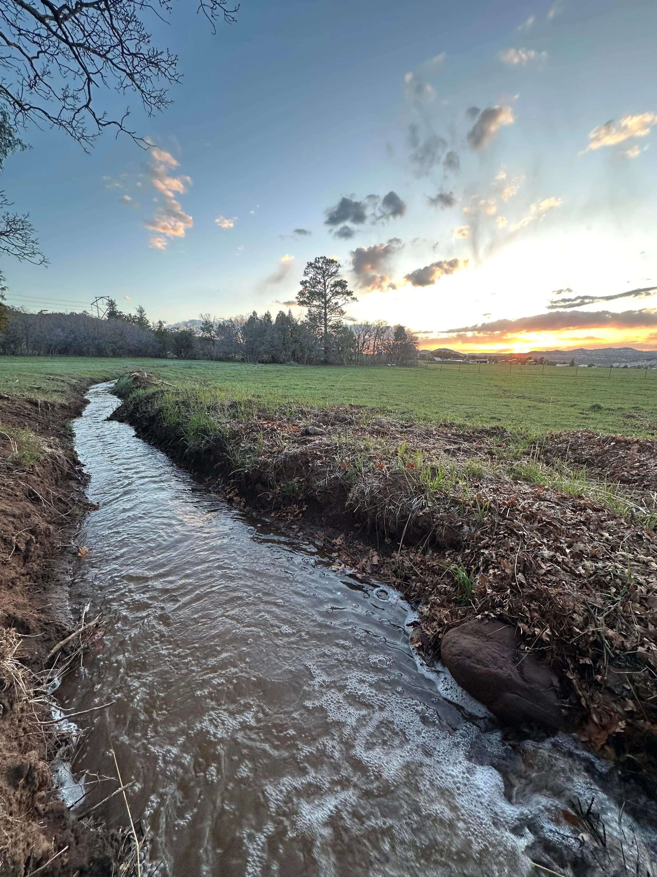Acequia1.jpg
