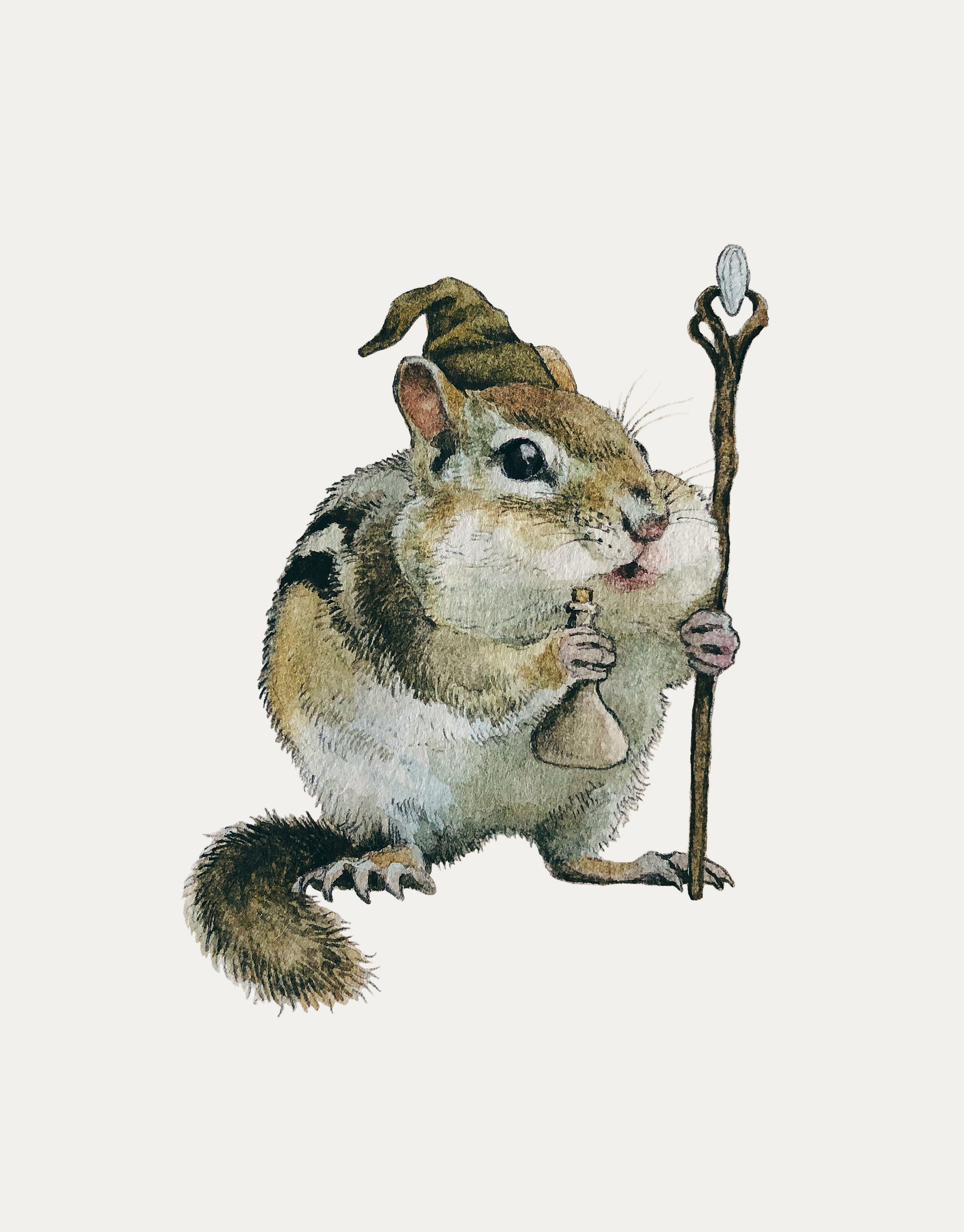 The Chipmunk Wizard