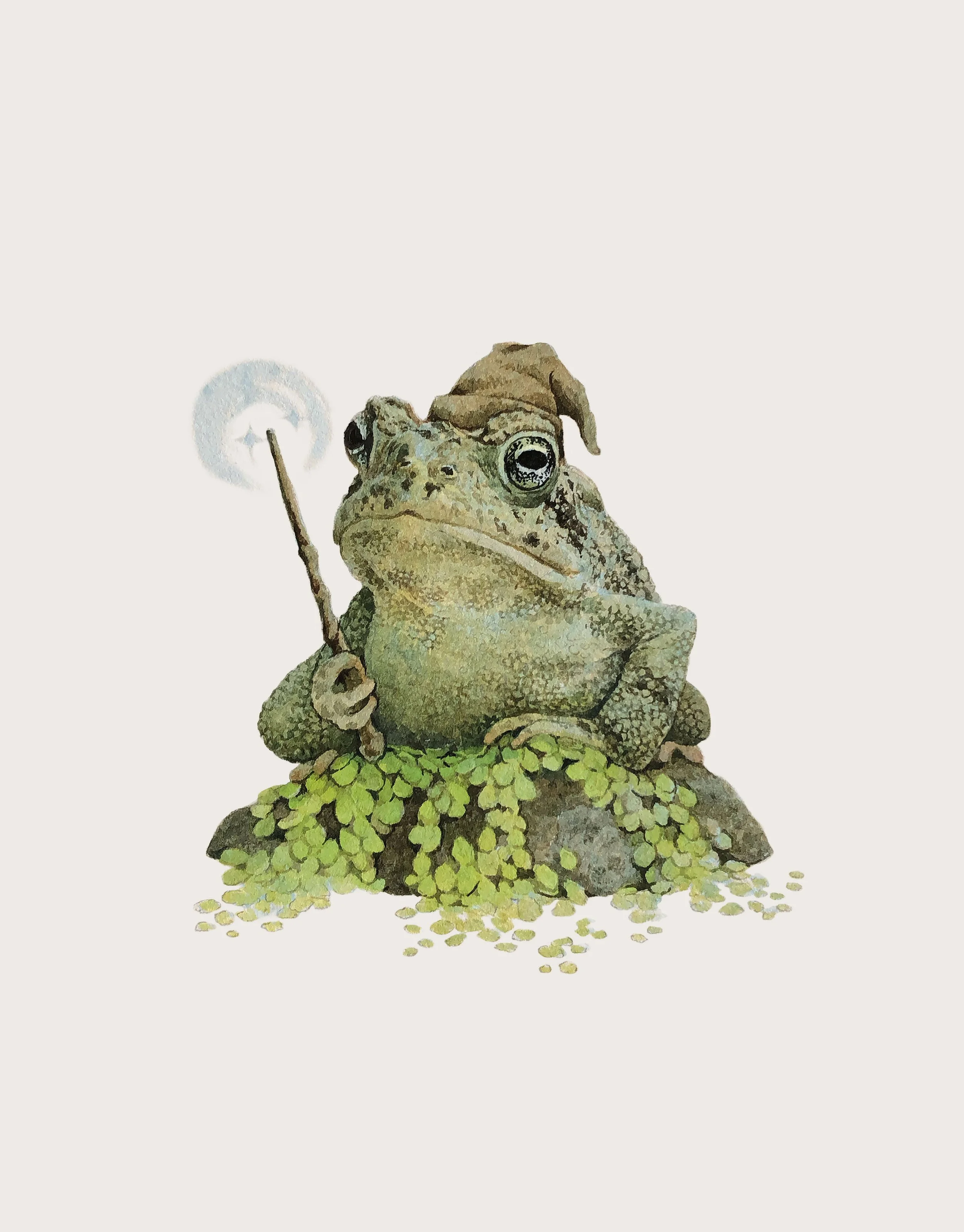 Toad Wizard