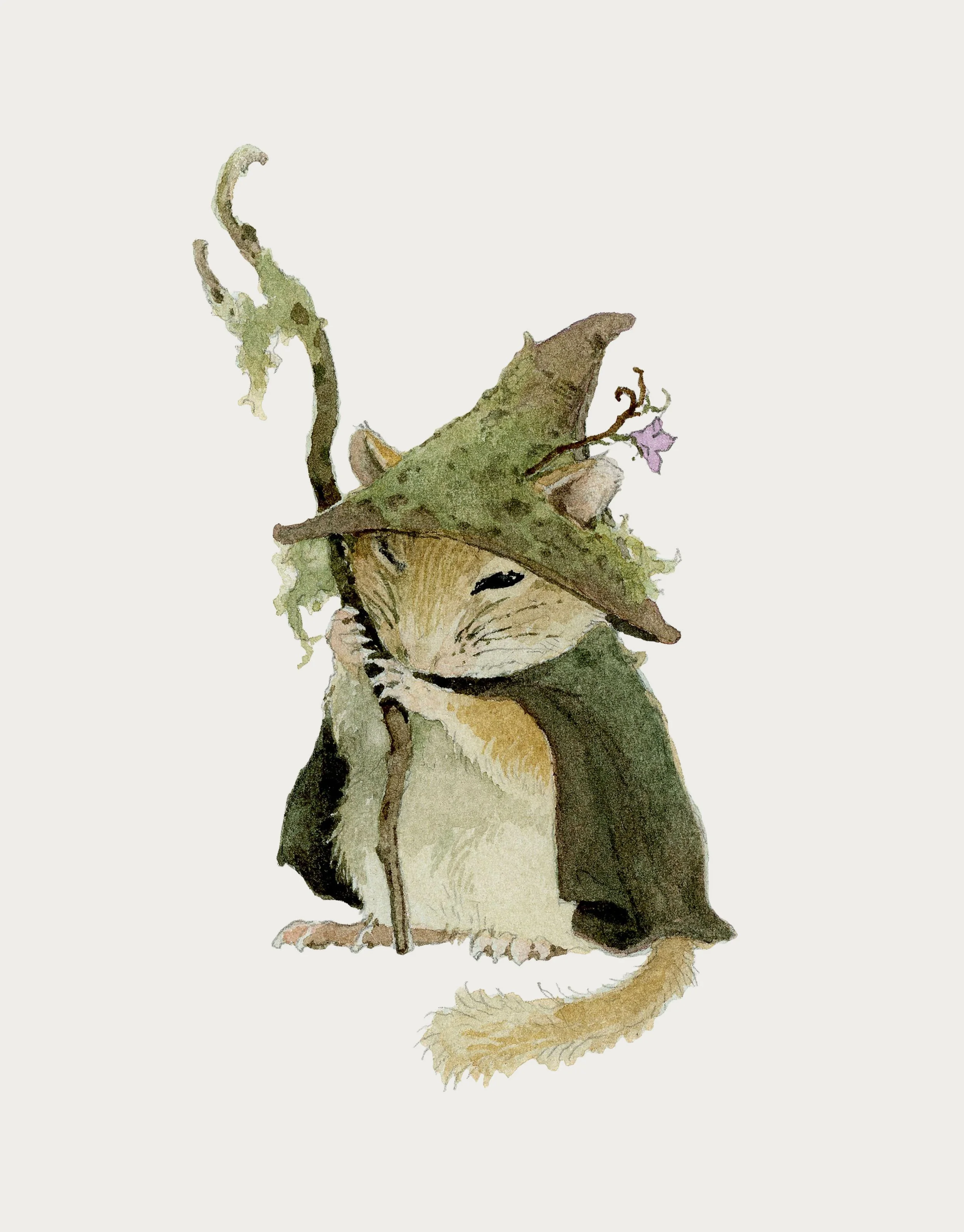 Dormouse Wizard