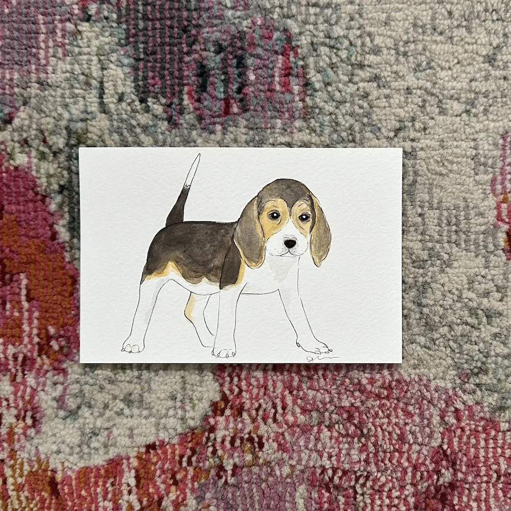 Beagle 4x6