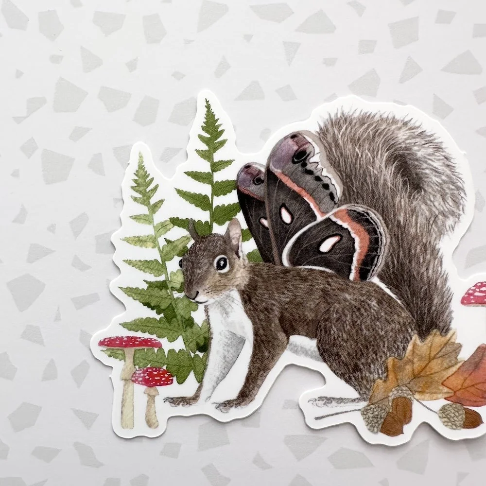 squirrel 1.jpeg