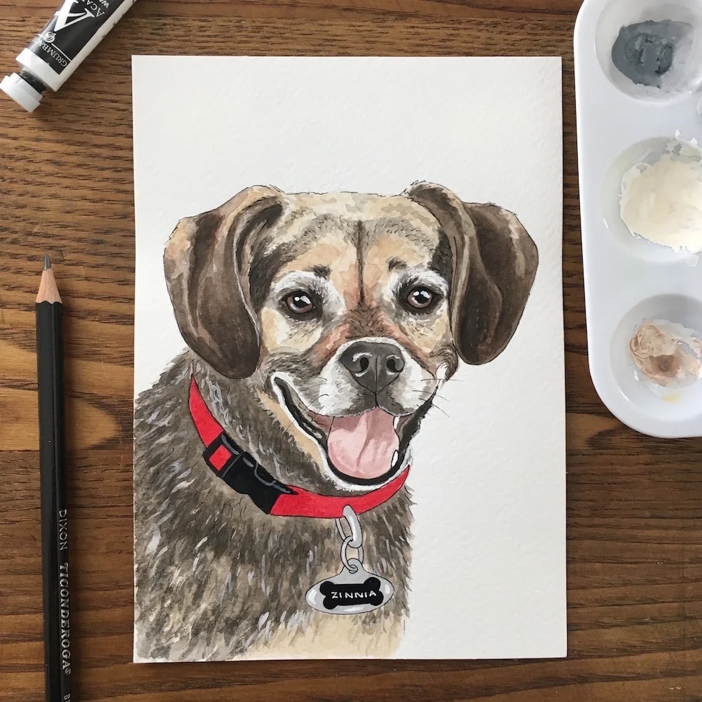 Custom Pet Portraits by Amy Richards Illustrator from Raleigh NC