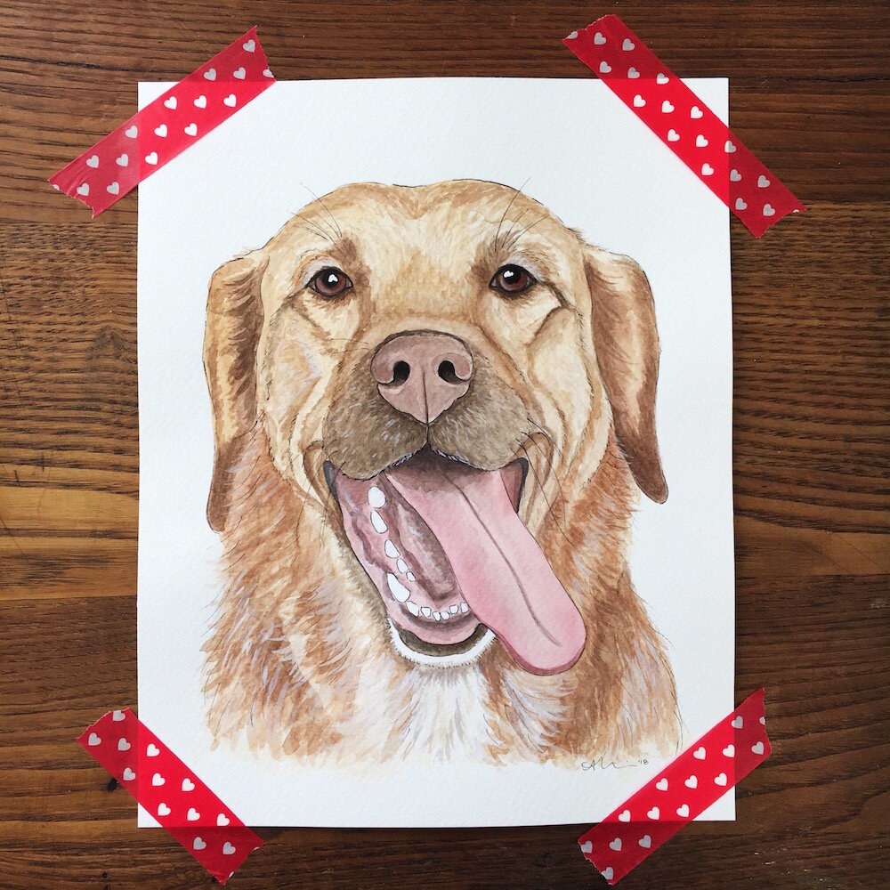 Pet_Portrait_Gallery_13.jpg