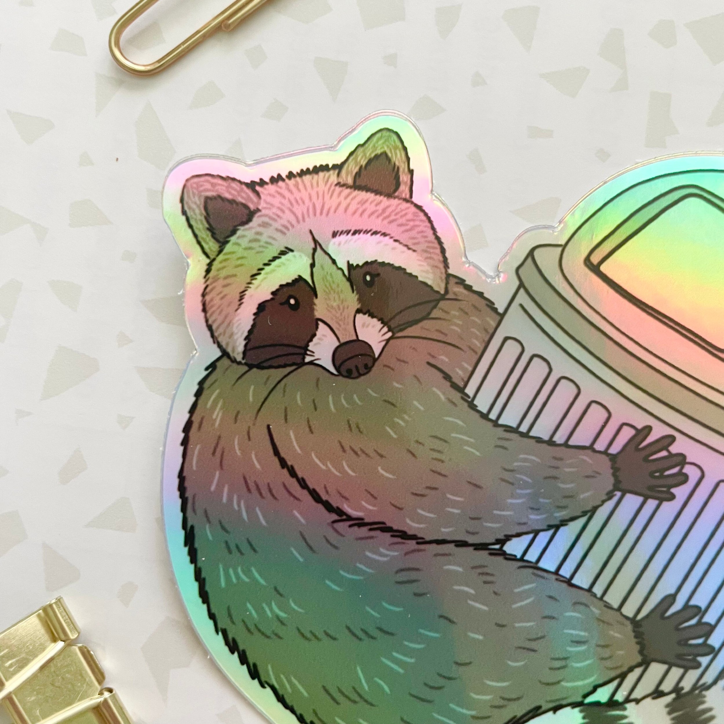 Raccoon Heart Vinyl Sticker — Amy Richards Illustration
