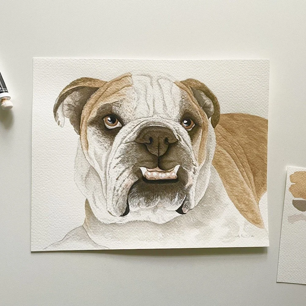11x14 Custom Pet Portrait