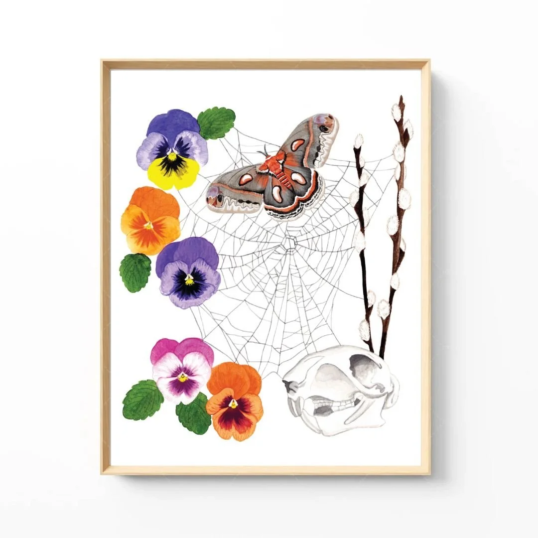 Pansy Web Art Print