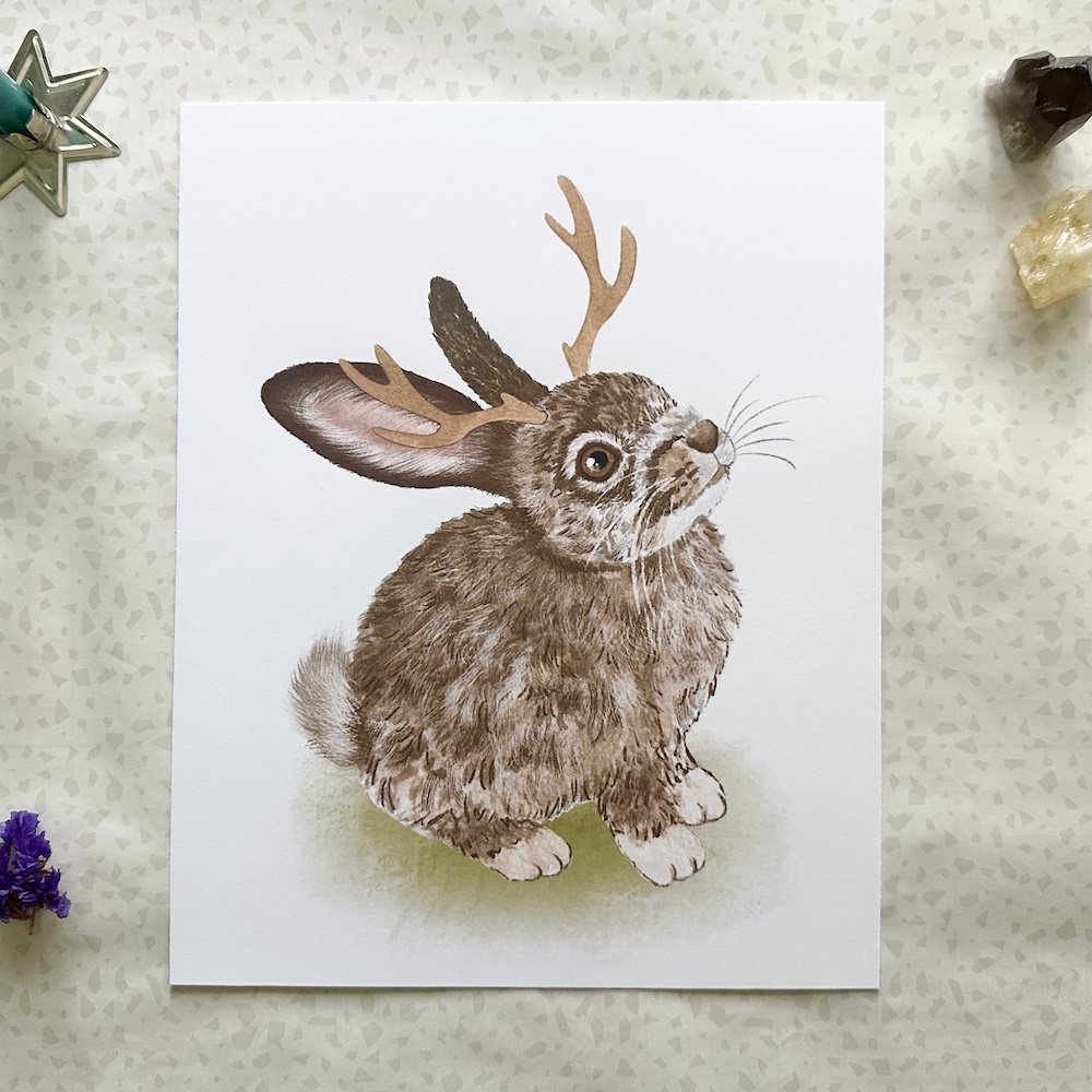 jackalope 1.jpeg