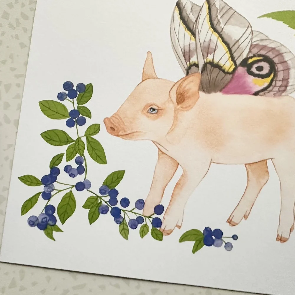 mothic pig image 3.jpeg