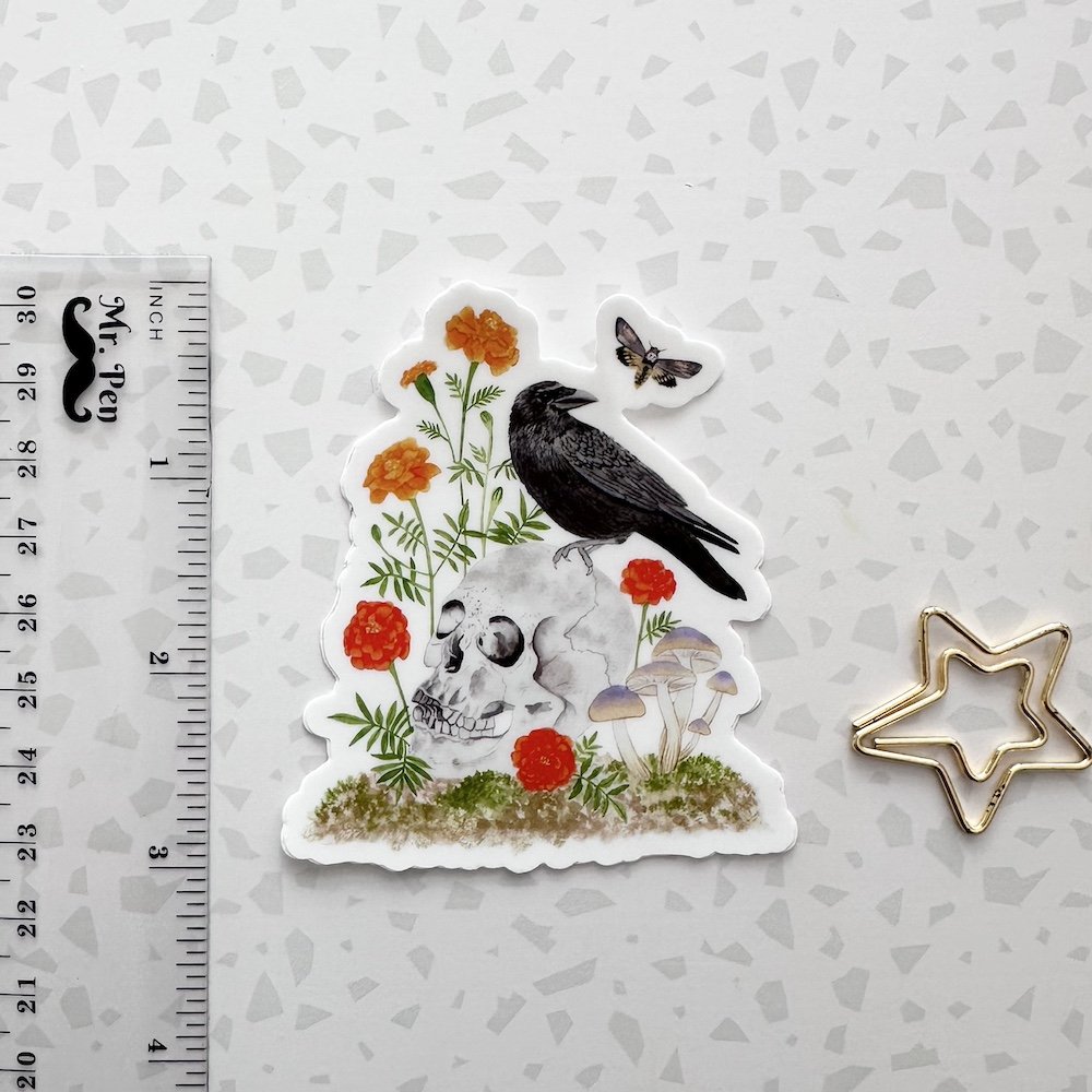 crow 3.jpeg